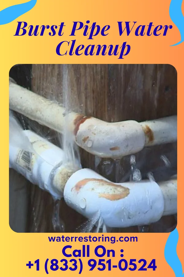 Burst Pipe Water Cleanup in Florida, OH
